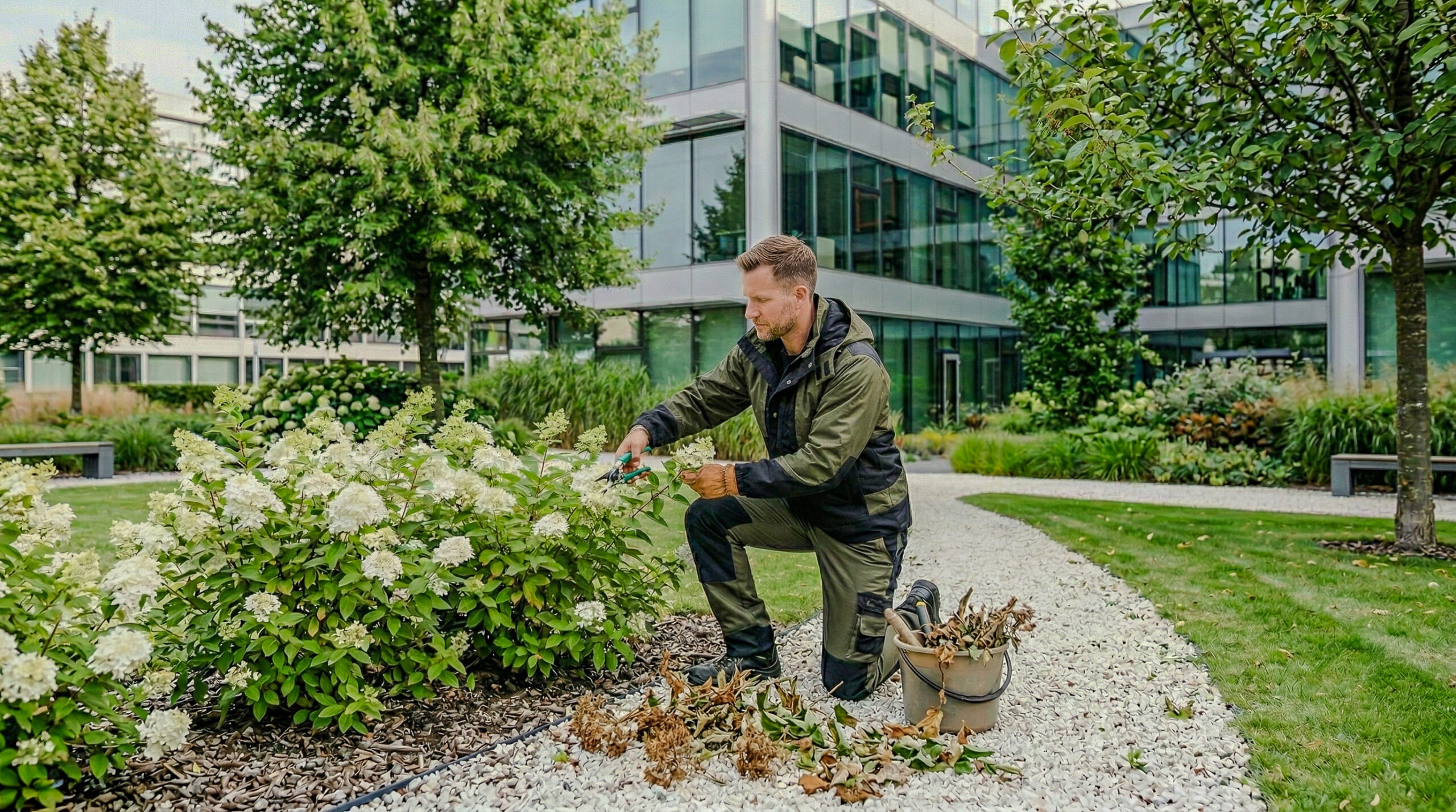 Groen- & gazononderhoud